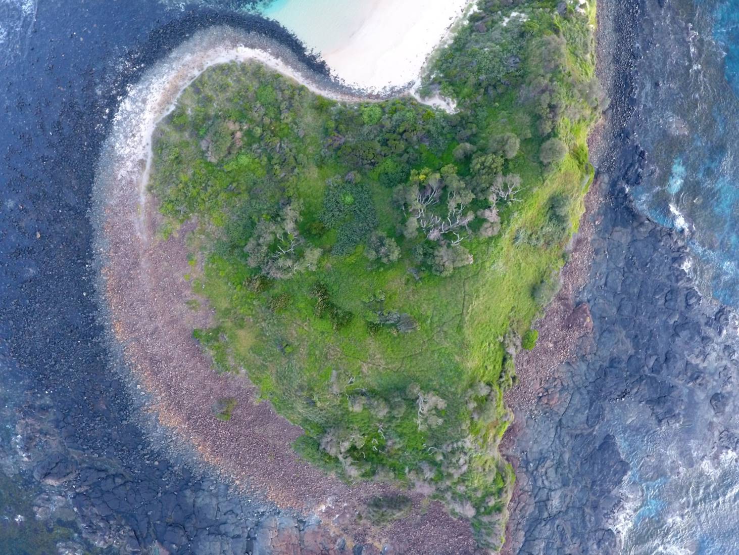 GREEN ISLAND FROM ABOVE